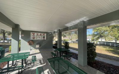 The Complete Guide to Pressure Washing in Wesley Chapel, Lutz, Land O’ Lakes & Tampa Bay